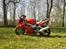 Honda VTR 1000 Firestorm