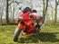 Honda VTR 1000 Firestorm