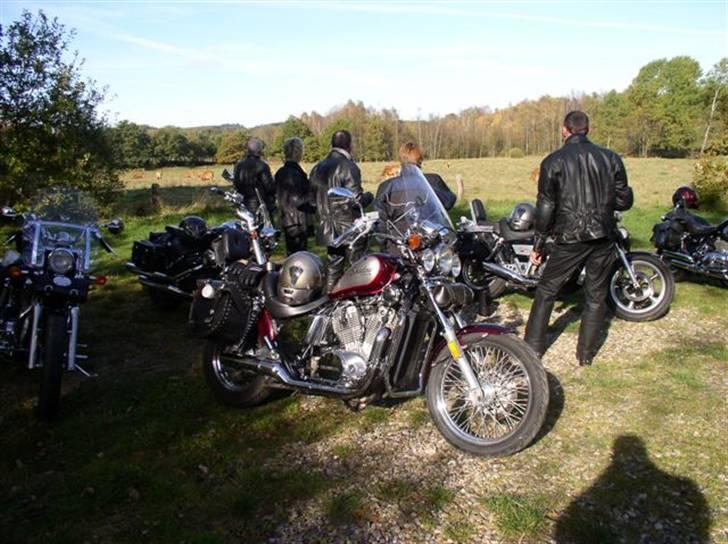 Honda VT 800 Shadow billede 5