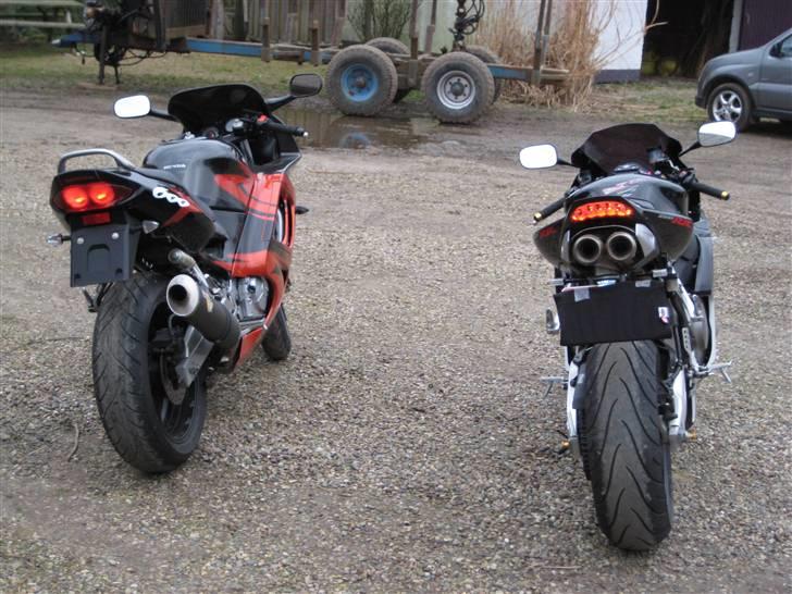 Honda cbr 1000 rr fireblade - Mine cykler F3 TIL SALG billede 20