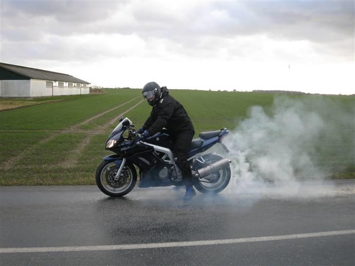 Suzuki SV 1000S Solgt!!!!! billede 14