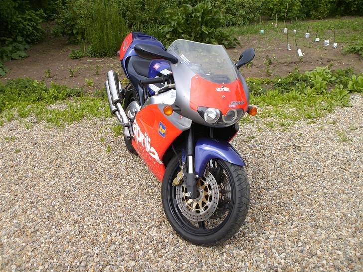 Aprilia rs 250  - SOLGT billede 4