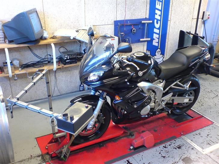 Yamaha FZ6-S billede 14