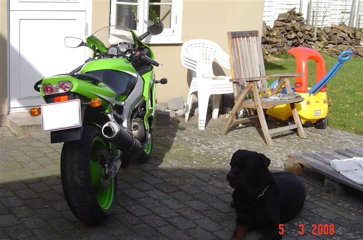 Kawasaki zx636r - kværn og tyverialarm :-) billede 7