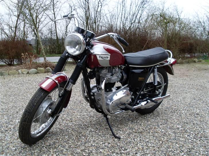 Triumph trophy billede 2