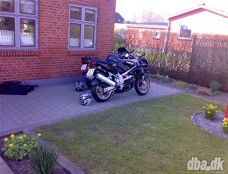 Suzuki TL 1000S billede 7