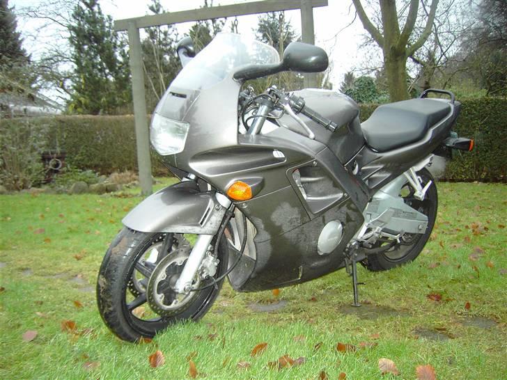 Honda cbr 600 billede 1