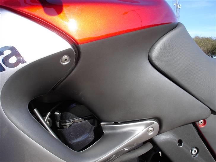 Aprilia Pegaso 650 billede 8