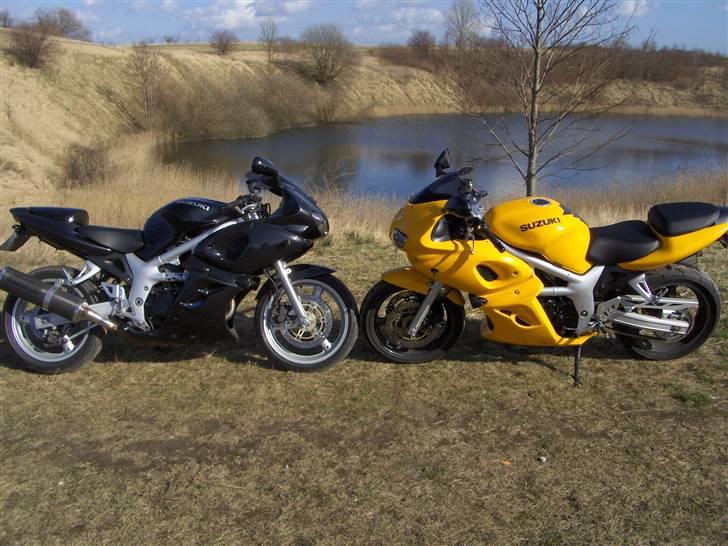 Suzuki SV 650s billede 6