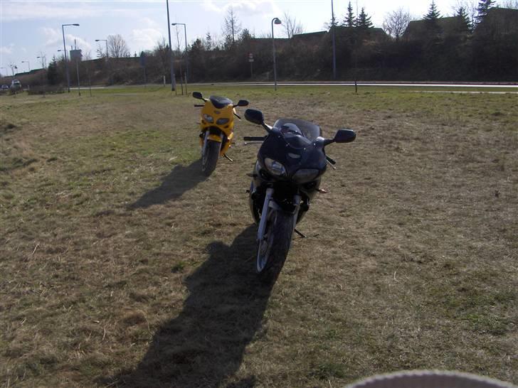 Suzuki SV 650s billede 7