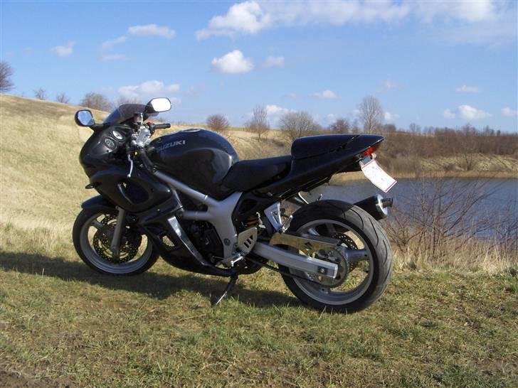 Suzuki SV 650s billede 9
