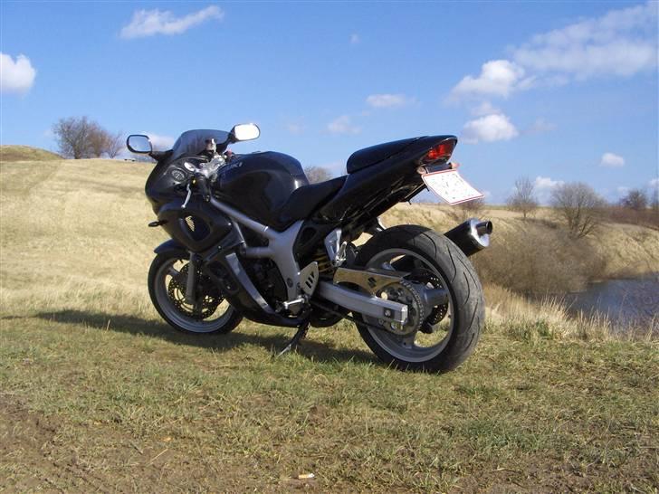 Suzuki SV 650s billede 10