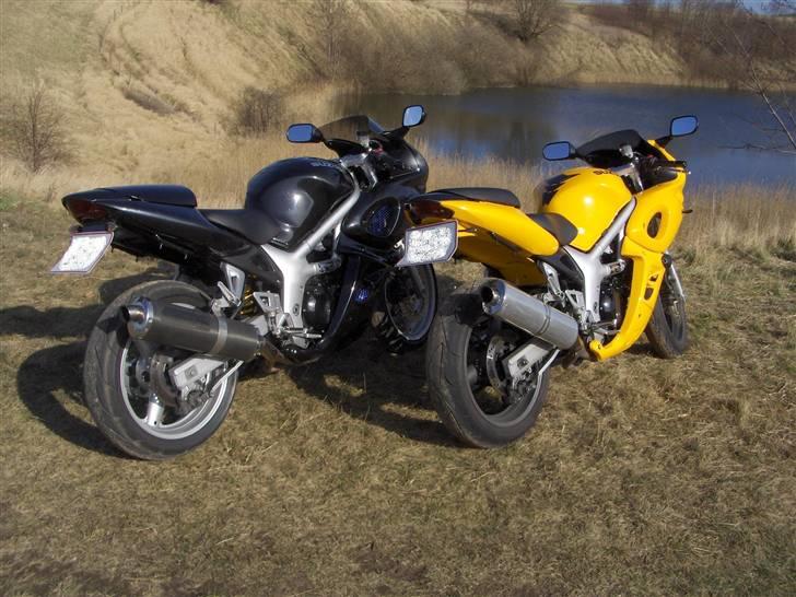 Suzuki SV 650s billede 11