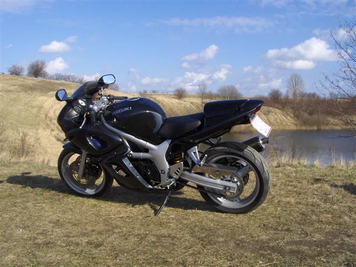Suzuki SV 650s billede 13