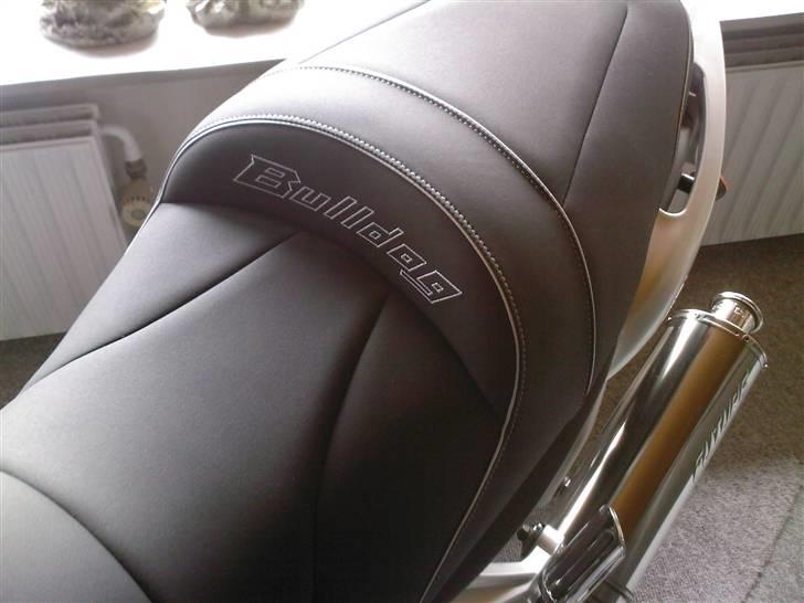 Yamaha bulldog 1100 billede 11