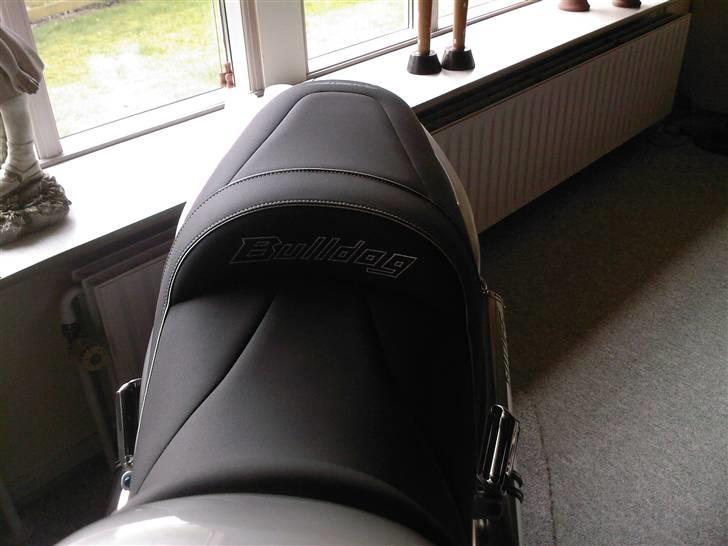 Yamaha bulldog 1100 billede 13