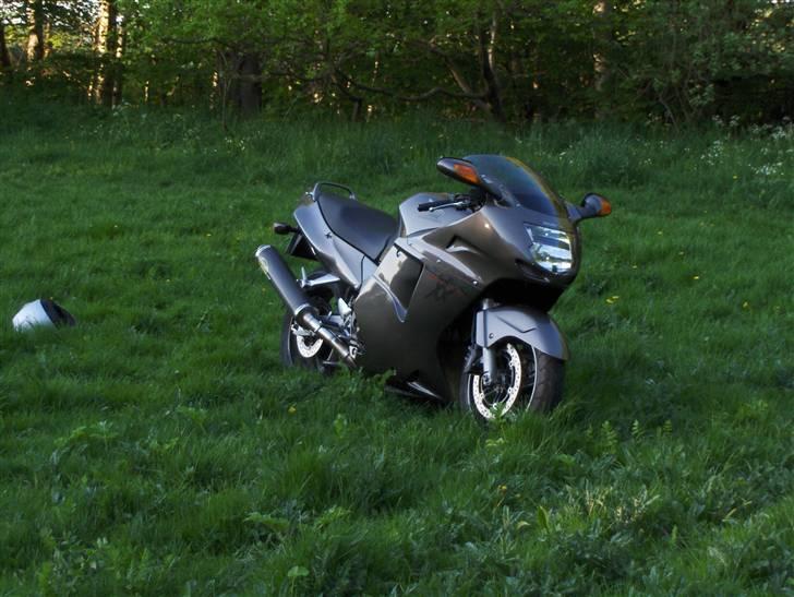 Honda cbr 1100xx billede 1