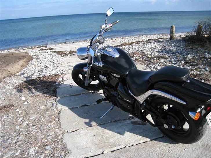 Suzuki m800 billede 9