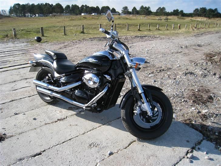 Suzuki m800 billede 11