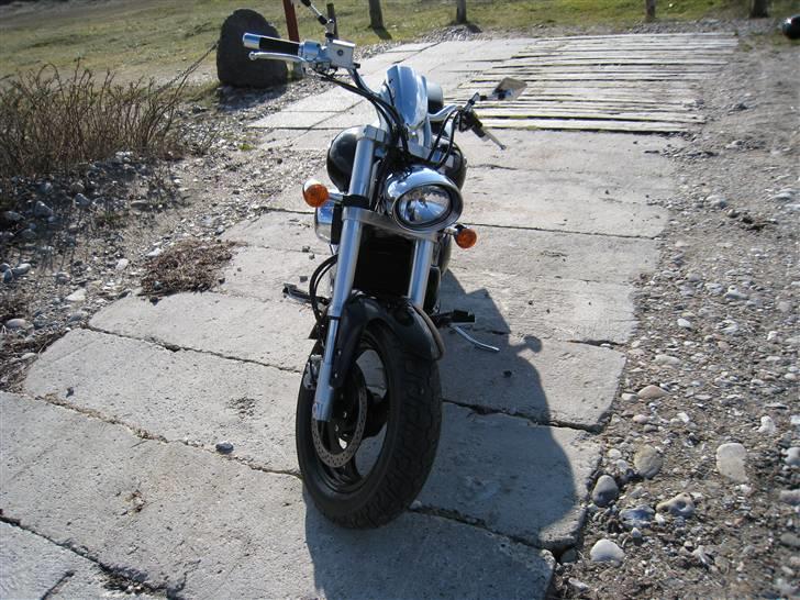 Suzuki m800 billede 12