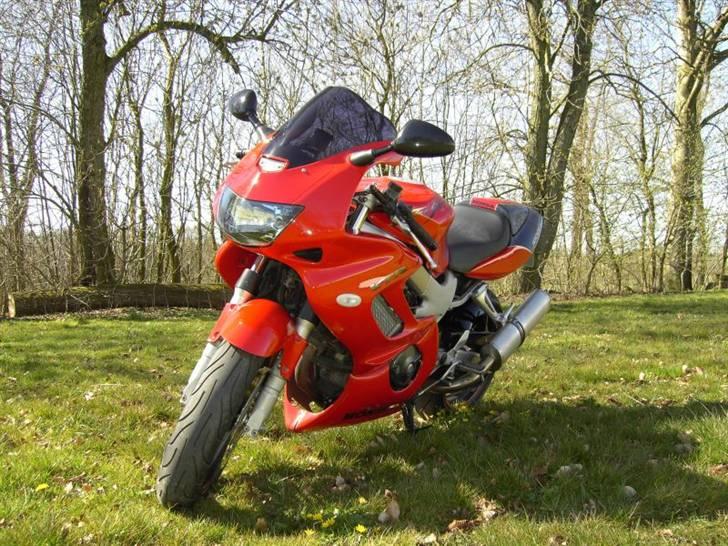 Honda VTR 1000 Firestorm billede 8