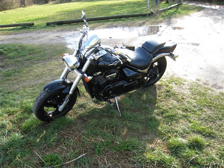 Suzuki m800 billede 20