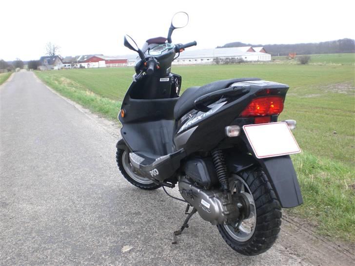 PGO T-REX SOLGT billede 1