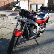 Suzuki GS500e /total skadet/