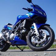Suzuki sv1000sk7, blå.
