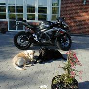 Suzuki gsxr 750