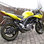 Suzuki SV 650S