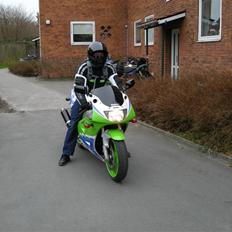 Kawasaki zxr 400 L4 "SOLGT"