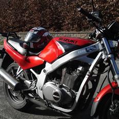 Suzuki GS500e /total skadet/
