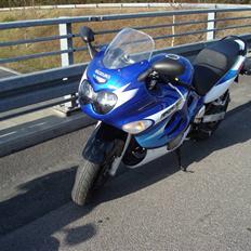 Suzuki GSX F