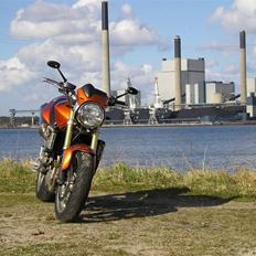 Honda 600 Hornet "SOLGT"