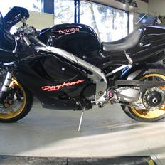 Triumph Daytona 955I