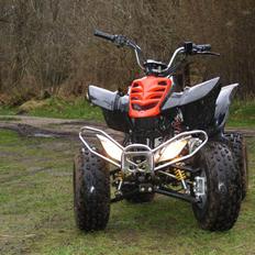 She-Lung Zhongyu ATV