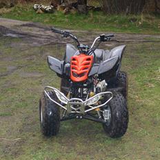 She-Lung Zhongyu ATV