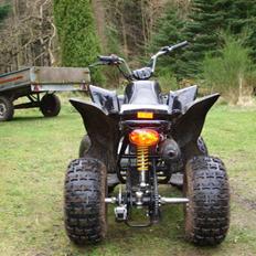 She-Lung Zhongyu ATV