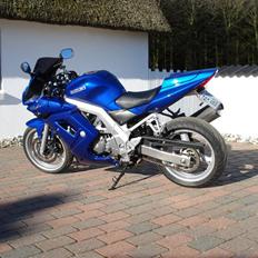 Suzuki SV 650s (Skjern)