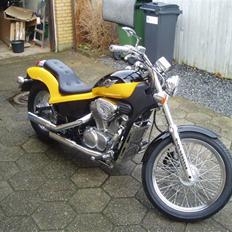 Honda  shadow Humlebien