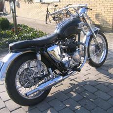 Triumph Tiger 100