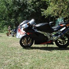 Aprilia RSV1000r