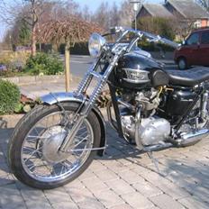 Triumph Tiger 100