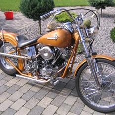 Harley Davidson FLPF - Police spicial