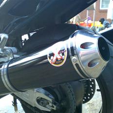 Honda cbr 1100 Blackbird