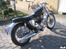 Triumph Tiger 100 - Mit dejlige dyr...