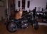 Triumph Tiger 100 - Selv katten har smag for triumph