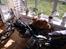 Triumph Tiger 100