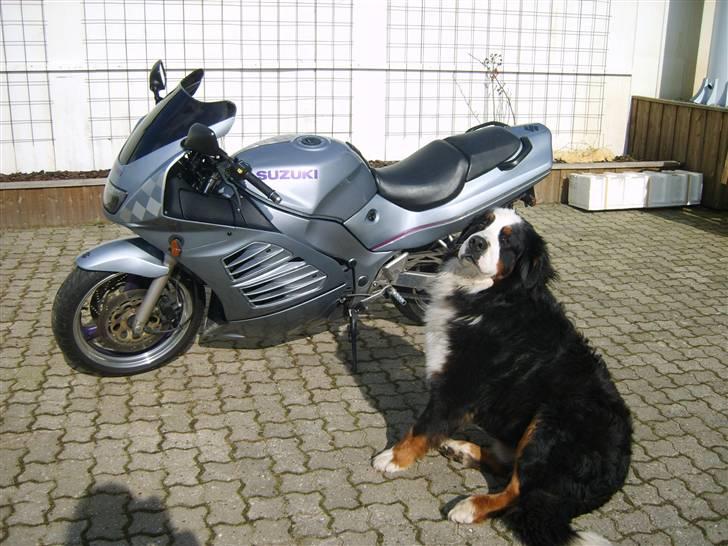 Suzuki RF 600 (solgt) - Vagthunden :) billede 5